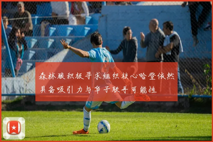 森林狼积极寻求组织核心哈登依然具备吸引力与华子联手可能性