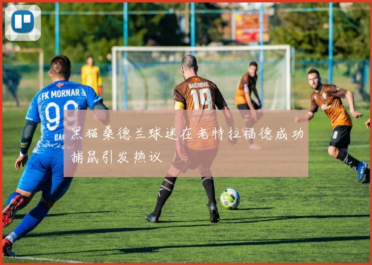 黑猫桑德兰球迷在老特拉福德成功捕鼠引发热议