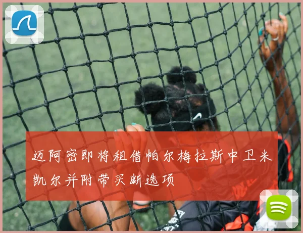 迈阿密即将租借帕尔梅拉斯中卫米凯尔并附带买断选项