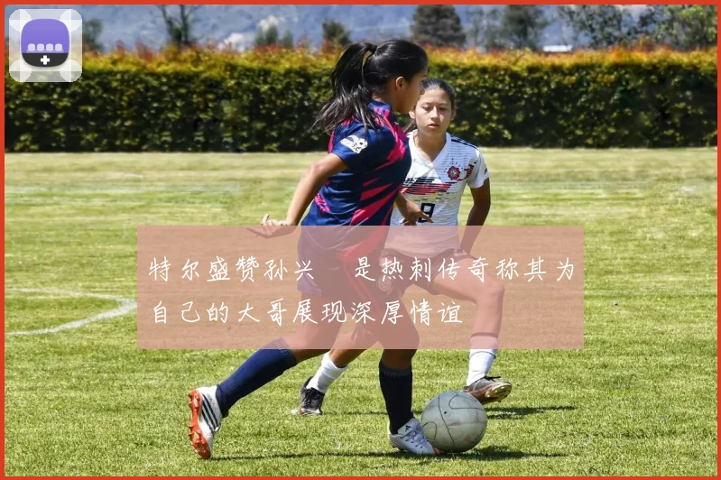 特尔盛赞孙兴慜是热刺传奇称其为自己的大哥展现深厚情谊