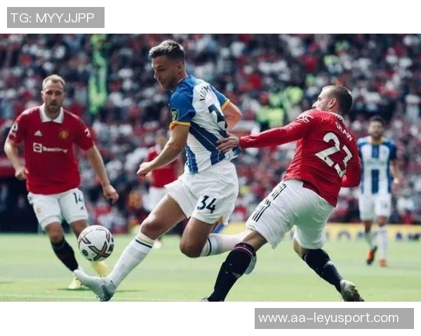 尼斯球员与球迷发生激烈冲突体育总监莫里斯遭殴打事件回顾